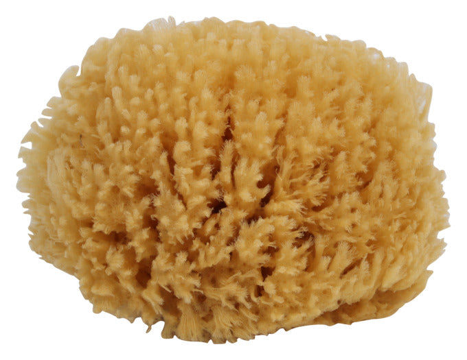 REDECKER Naturschwamm mit Baumwollband in  präsentiert im Onlineshop von KAQTU Design AG. Reinigung & Wäsche ist von REDECKER