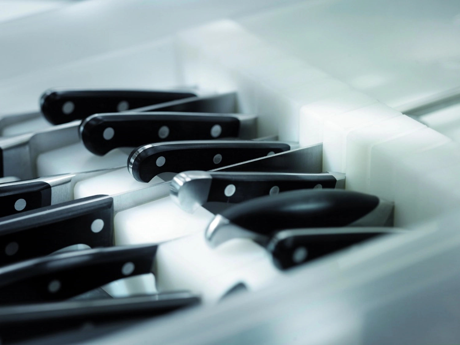 Messerblock verstellbar passt GN 1/1 Schale in Silber präsentiert im Onlineshop von KAQTU Design AG. Messerblock ist von Lagotto