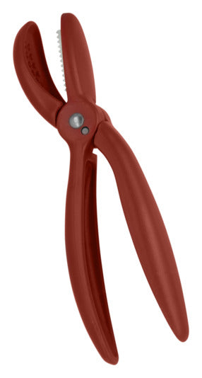 METALTEX Marronischneider 20 cm in  präsentiert im Onlineshop von KAQTU Design AG. Küchenhelfer ist von METALTEX