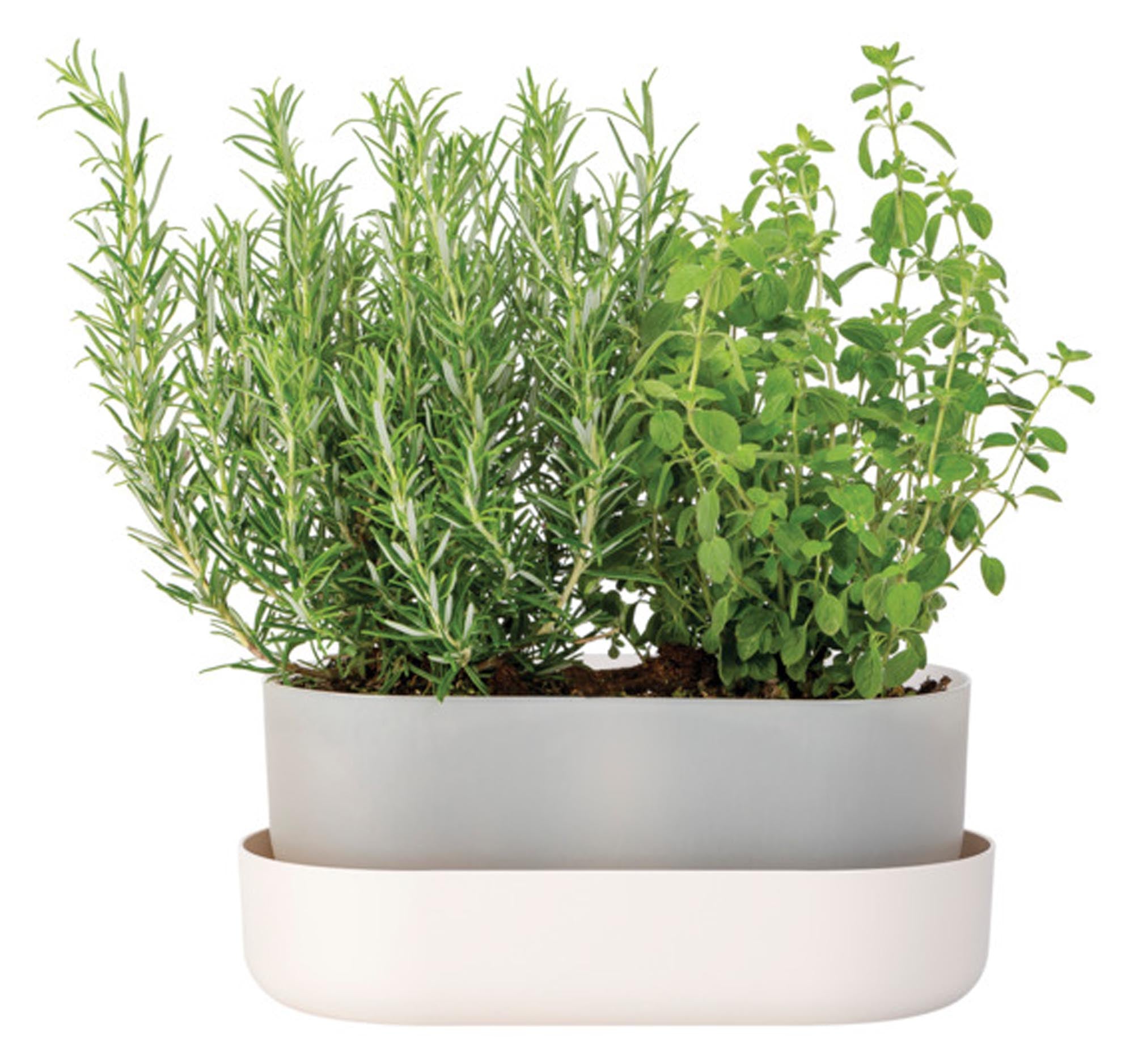 Eleganter PLASTIA Blumenkasten Tolita in Elfenbein, 31 cm, mit praktischem Untersetzer, ideal für stilvolle Pflanzendekoration.