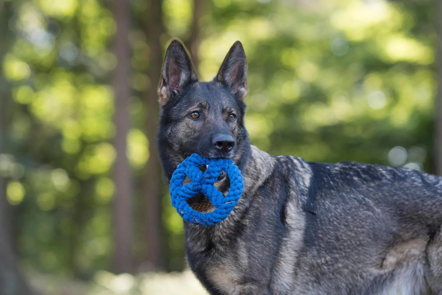 Paulchen Peace: Langlebiges, farbenfrohes Spielzeug für Hunde von Laboni.