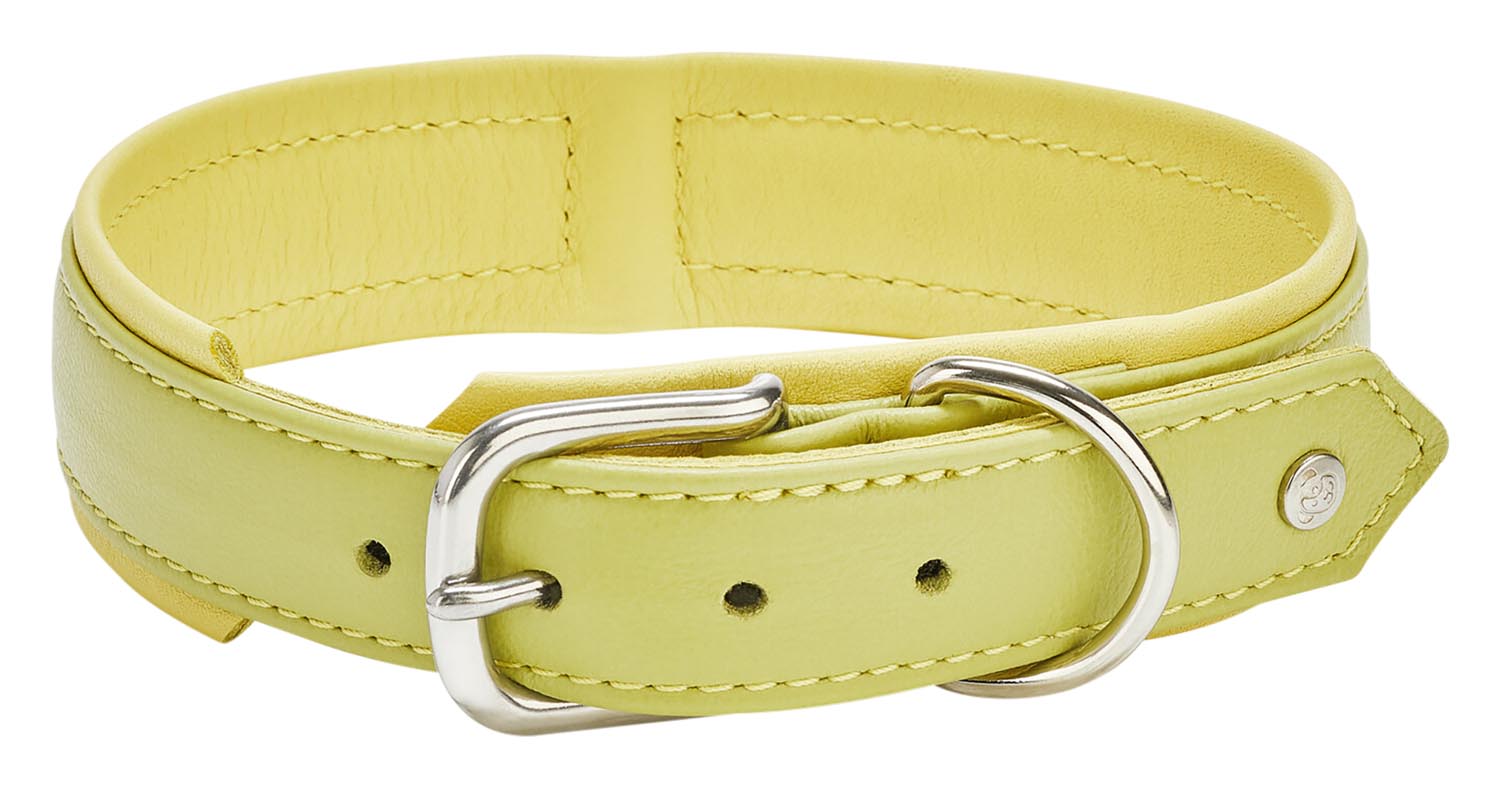Entdecken Sie das LABONI Halsband Nappa Amici Cognac XL – ein elegantes, komfortables und strapazierfähiges Accessoire für große Hunde.