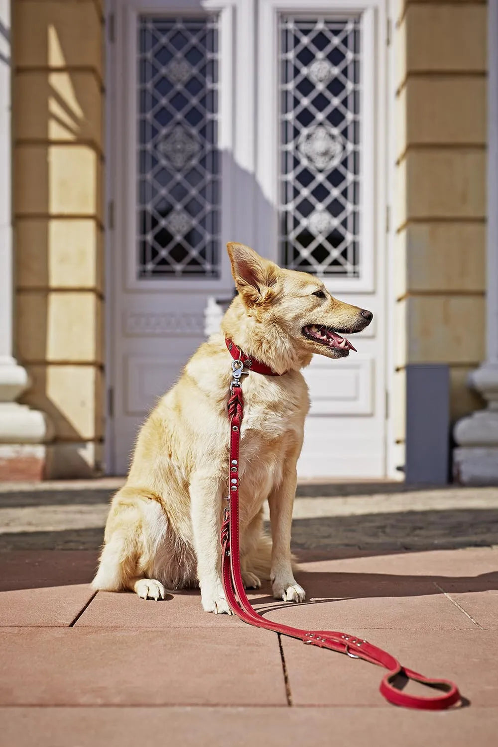 Elegante Fettleder-Leine S mit Edelweiss von Laboni für stilvolle Hunde.