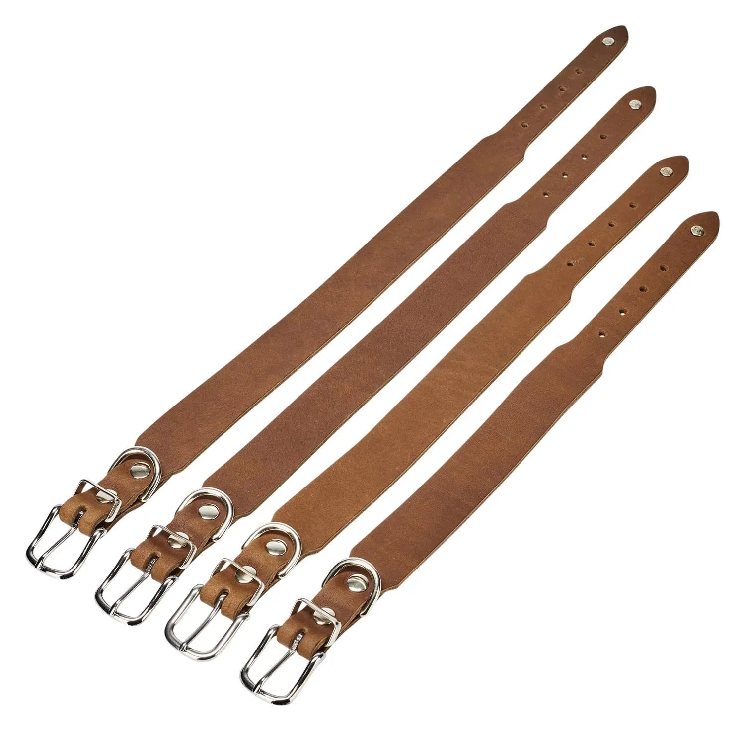 Elegantes Laboni Giro XXL Halsband für große Hunde, robust & stilvoll.