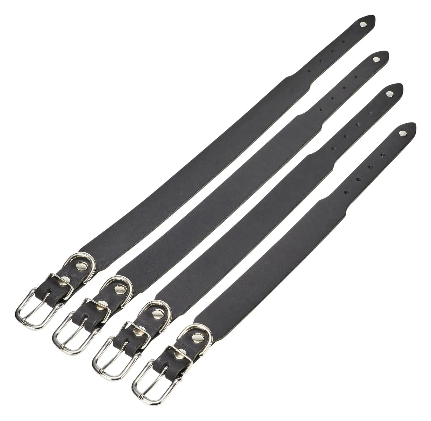 Luxuriöses Laboni Giro XL Halsband für große Hunde mit Stil.