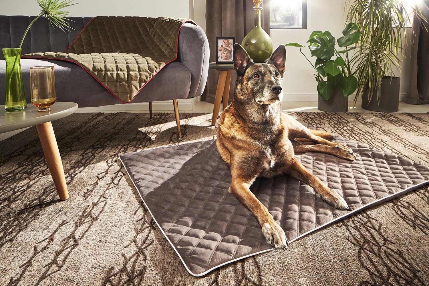Verwöhnen Sie Ihren Hund mit der LABONI Decke Oxford Olive L – luxuriös, pflegeleicht und perfekt für jeden Einsatz. Hochwertige Verarbeitung für optimalen Komfort!