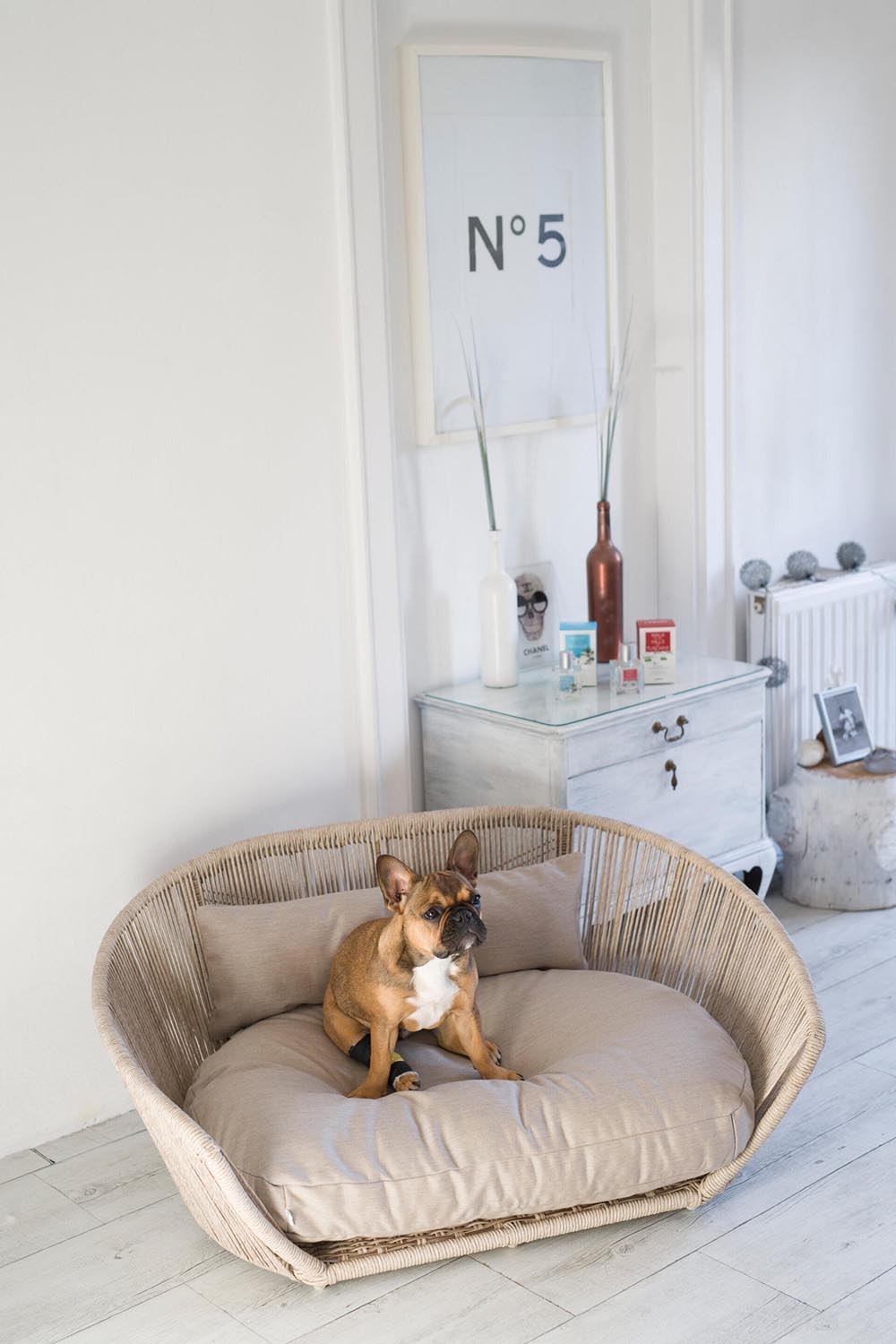 Hundebett Design Vogue SMOOTH in  präsentiert im Onlineshop von KAQTU Design AG. Hundebedarf ist von Laboni