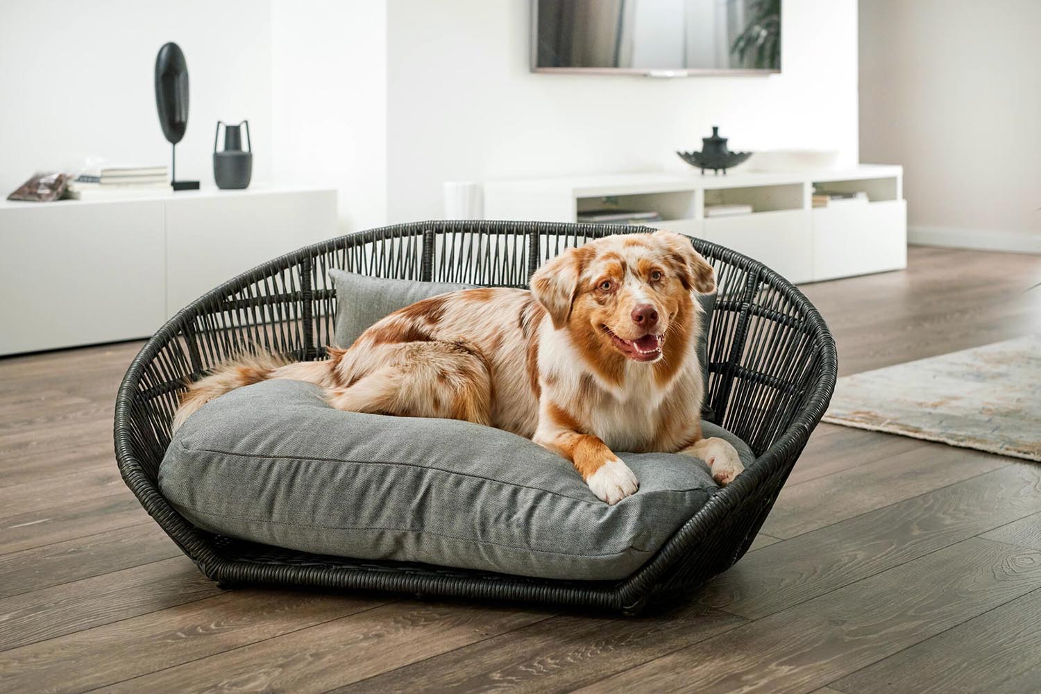 Hundebett Design Prado SMOOTH in  präsentiert im Onlineshop von KAQTU Design AG. Hundebedarf ist von Laboni