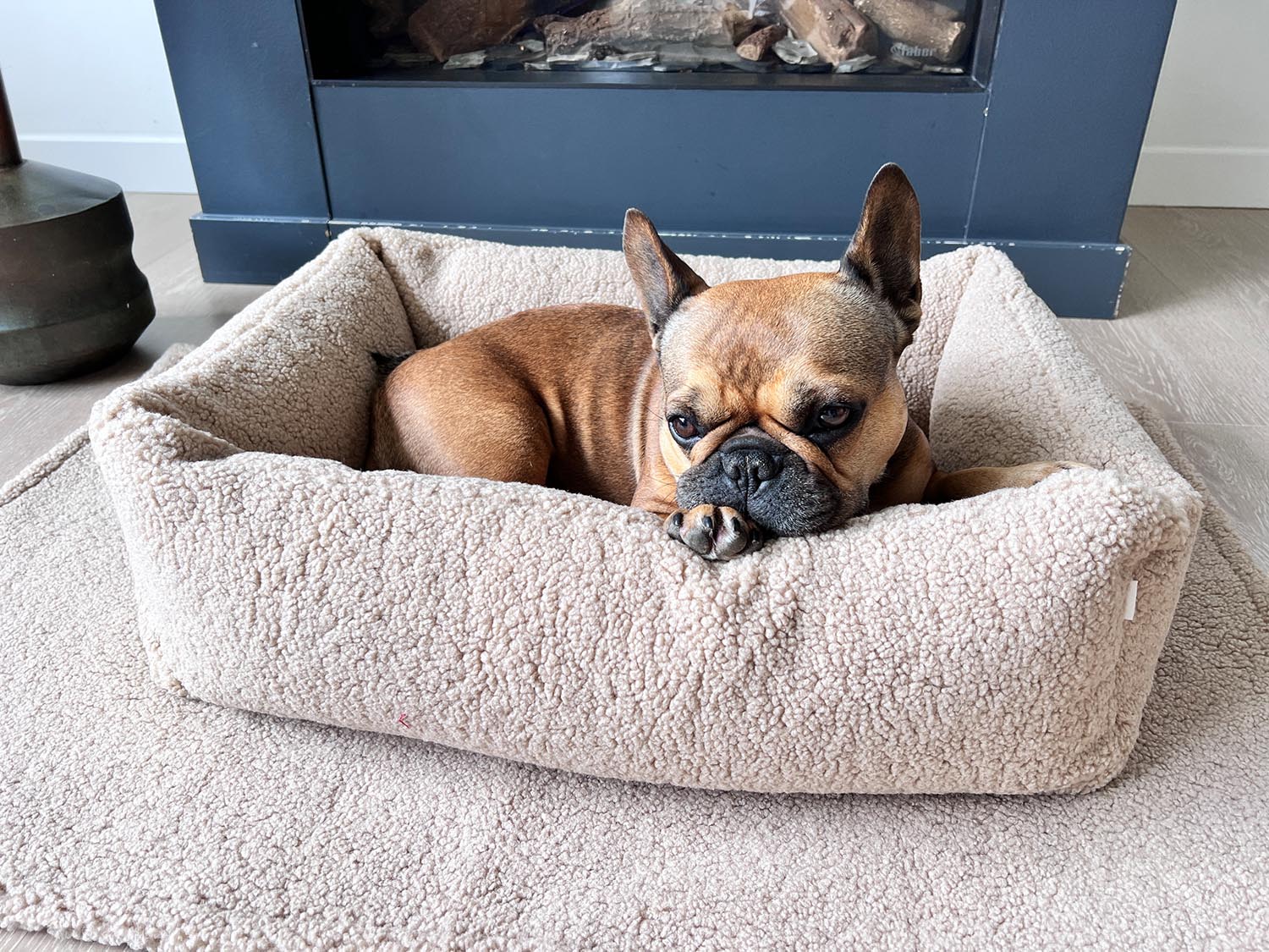 Gönnen Sie Ihrem kleinen Hund das LABONI Hundebett Classic Teddy Creme S – ein stilvolles, gemütliches Rückzugsort aus hochwertigem Teddy-Stoff, ideal für besten Schlafkomfort.
