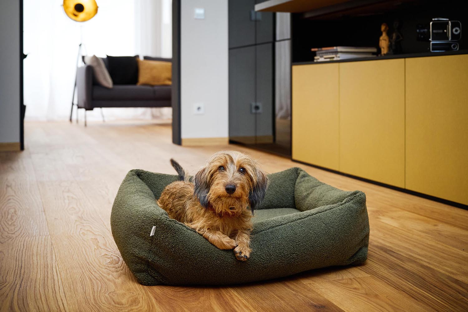 Verwöhnen Sie Ihren Hund mit dem Laboni Hundebett Classic Teddy L – ein stilvolles, komfortables Bett aus hochwertigem Teddy-Stoff, das Gelenke schont und leicht zu reinigen ist.