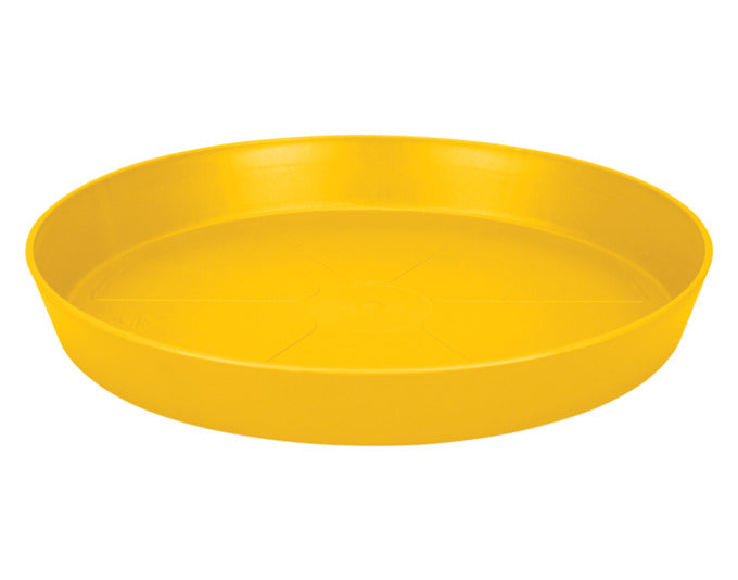 ELHO Untersetzer loft urban rund ø 34 cm ocker in  präsentiert im Onlineshop von KAQTU Design AG. Pflanzentopfzubehör ist von ELHO