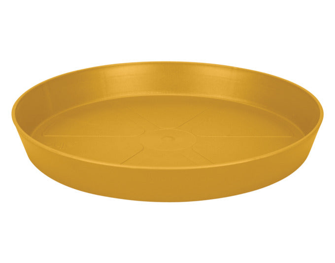 ELHO Untersetzer loft urban rund ø 24 cm honig gelb in  präsentiert im Onlineshop von KAQTU Design AG. Pflanzentopfzubehör ist von ELHO