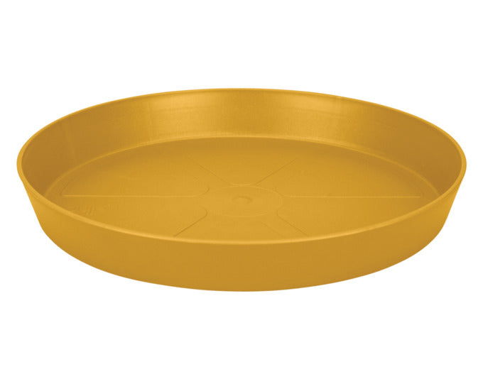 ELHO Untersetzer loft urban rund 21 cm honig gelb in  präsentiert im Onlineshop von KAQTU Design AG. Pflanzentopfzubehör ist von ELHO
