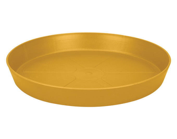 ELHO Untersetzer loft urban rund 17 cm honig gelb in  präsentiert im Onlineshop von KAQTU Design AG. Pflanzentopfzubehör ist von ELHO