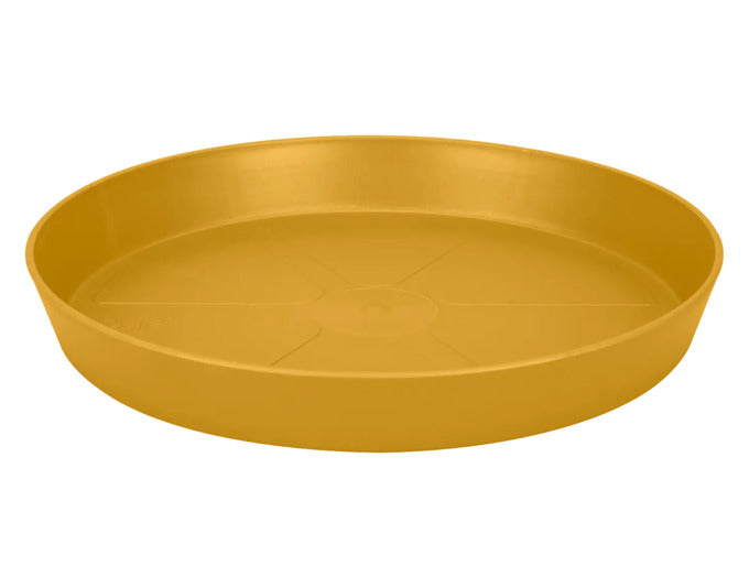ELHO Untersetzer loft urban rund 14 cm honig gelb in  präsentiert im Onlineshop von KAQTU Design AG. Pflanzentopfzubehör ist von ELHO