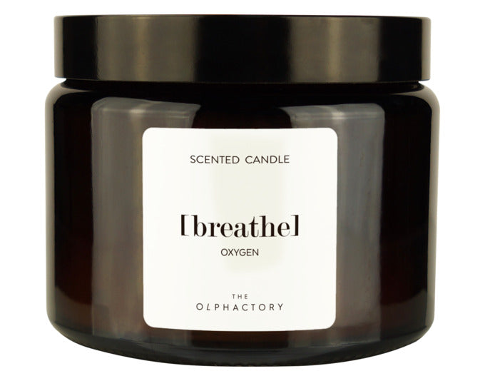 THE OLPHACTORY Duftkerze L Spiced Tangerine 360 g 60 h in  präsentiert im Onlineshop von KAQTU Design AG. Kerzen ist von THE OLPHACTORY