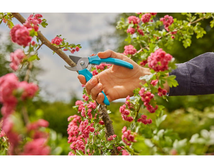 Die GARDENA EasyCut Gartenschere bietet präzises Schneiden von Ästen und Pflanzen, ideal für Gartenpflege und komfortable Handhabung.