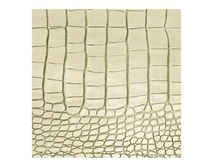 DAFF Untersetzer Gator 10x10 cm elfenbein in  präsentiert im Onlineshop von KAQTU Design AG. Küchenhelfer ist von DAFF