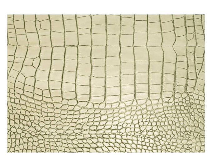 DAFF Tischset Gator 33x45 cm elfenbein in  präsentiert im Onlineshop von KAQTU Design AG. Tischset ist von DAFF