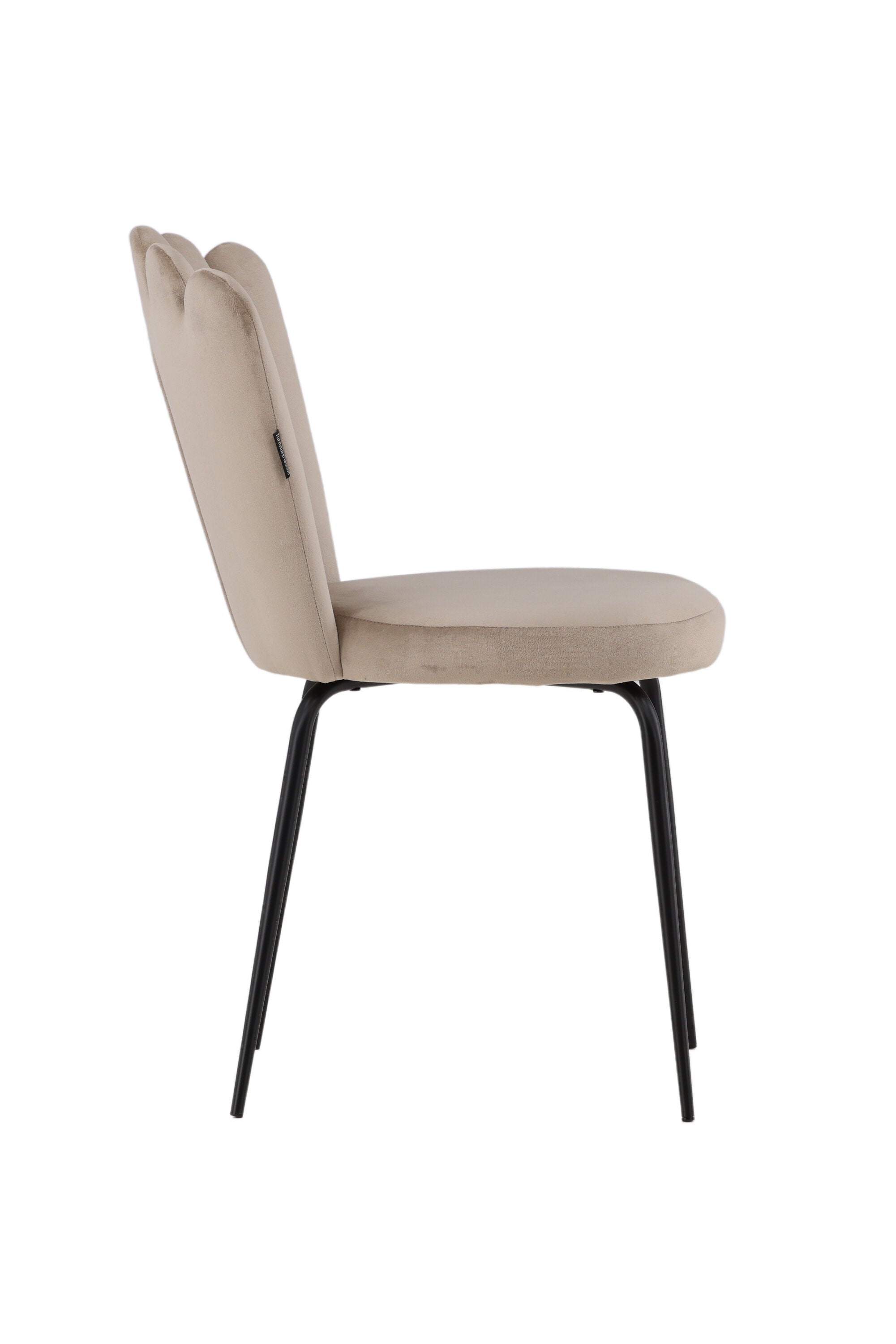 Limhamn Stuhl in Beige präsentiert im Onlineshop von KAQTU Design AG. Stuhl ist von Furniture Fashion