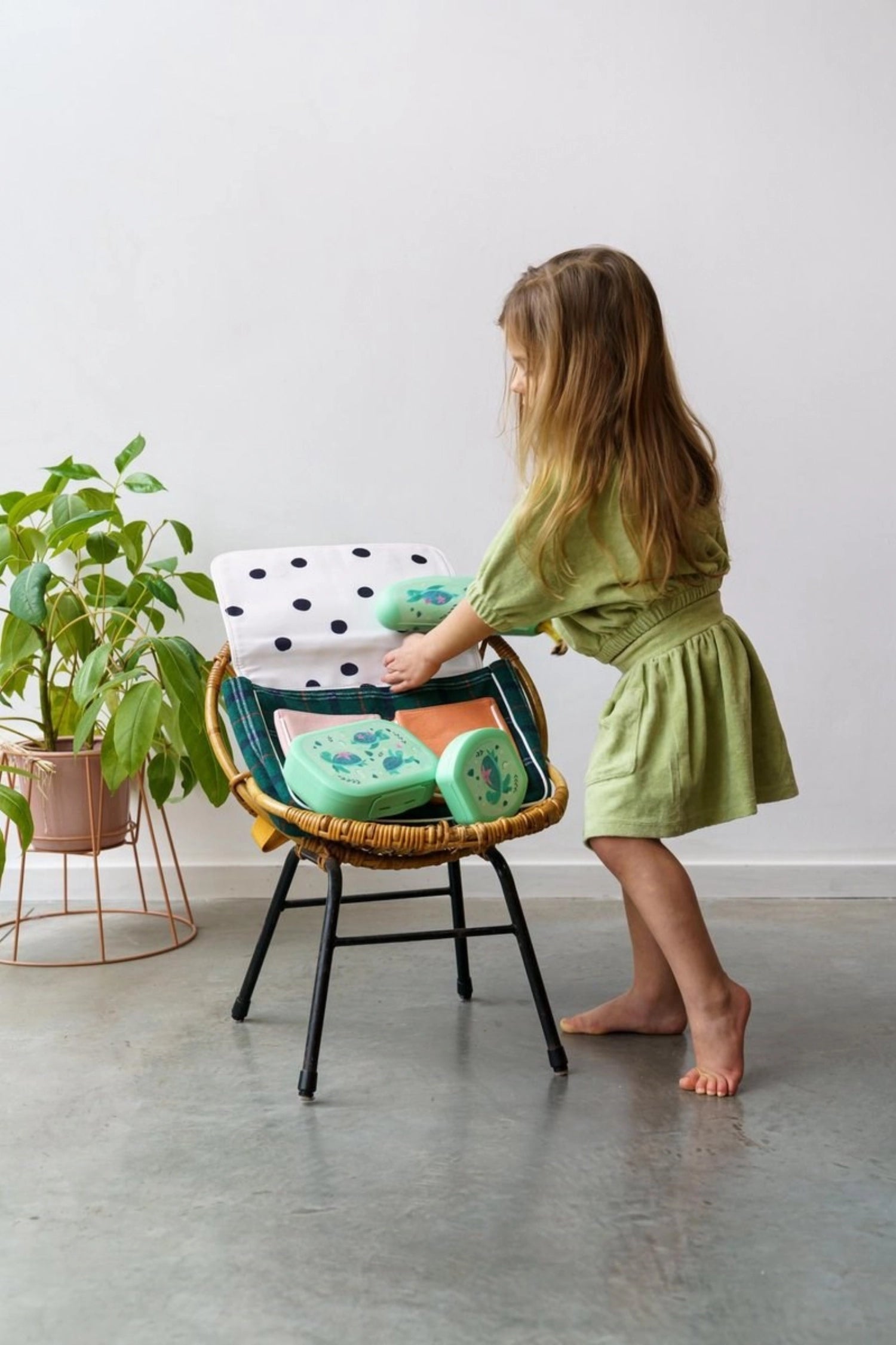 Sealife Cookiebox Schildkröte 112x110x40  Hellgrün