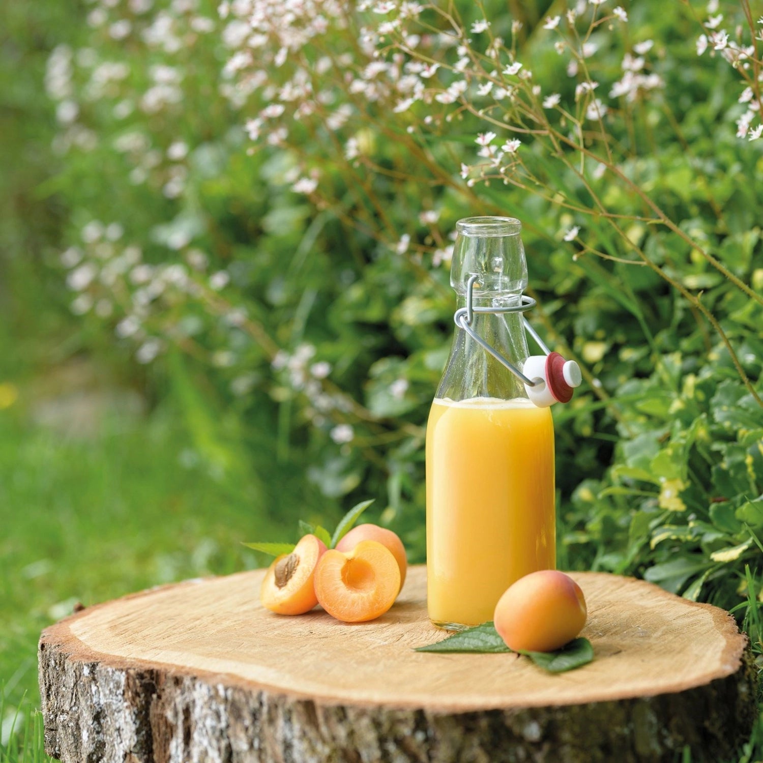 Stilvolle 250ml Bügelverschlussflasche von Westmark, perfekt für die stilvolle Aufbewahrung von Getränken, mit einem dekorativen Anhänger für zusätzlichen Charme.