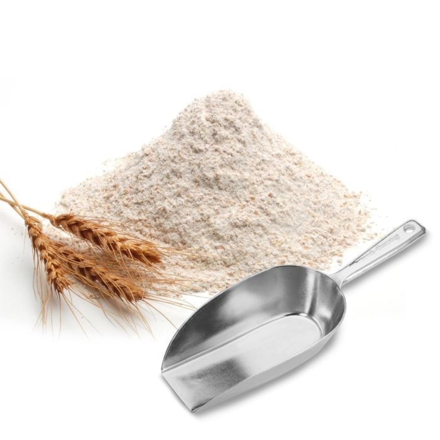 Praktische Haushaltsschaufel Hygia von Westmark, kompakt und vielseitig, ideal für präzises Dosieren und Schaufeln, 75ml Volumen.