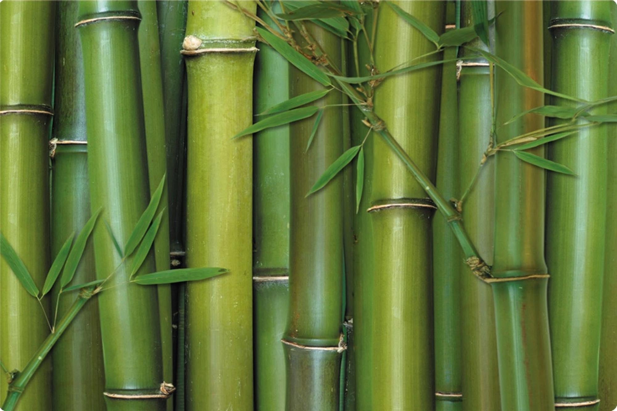 Entdecken Sie das nachhaltige Bamboo Tablett 40x19cm von Easy Life. Ideal zum Servieren, robust und stilvoll – perfekt für jeden Anlass!