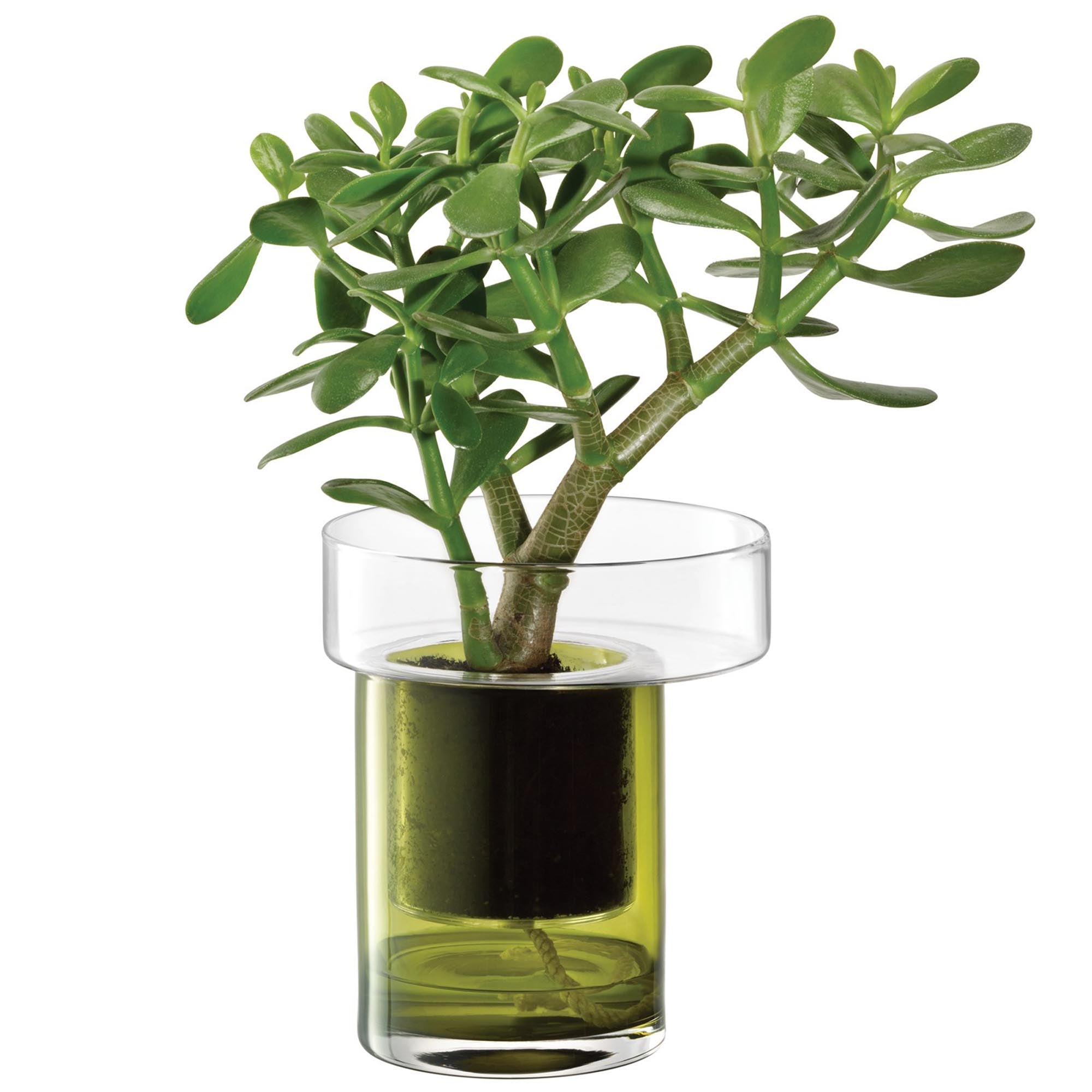 Plant pot Balcony self -wound H19 Ø16 cm clear/olive green