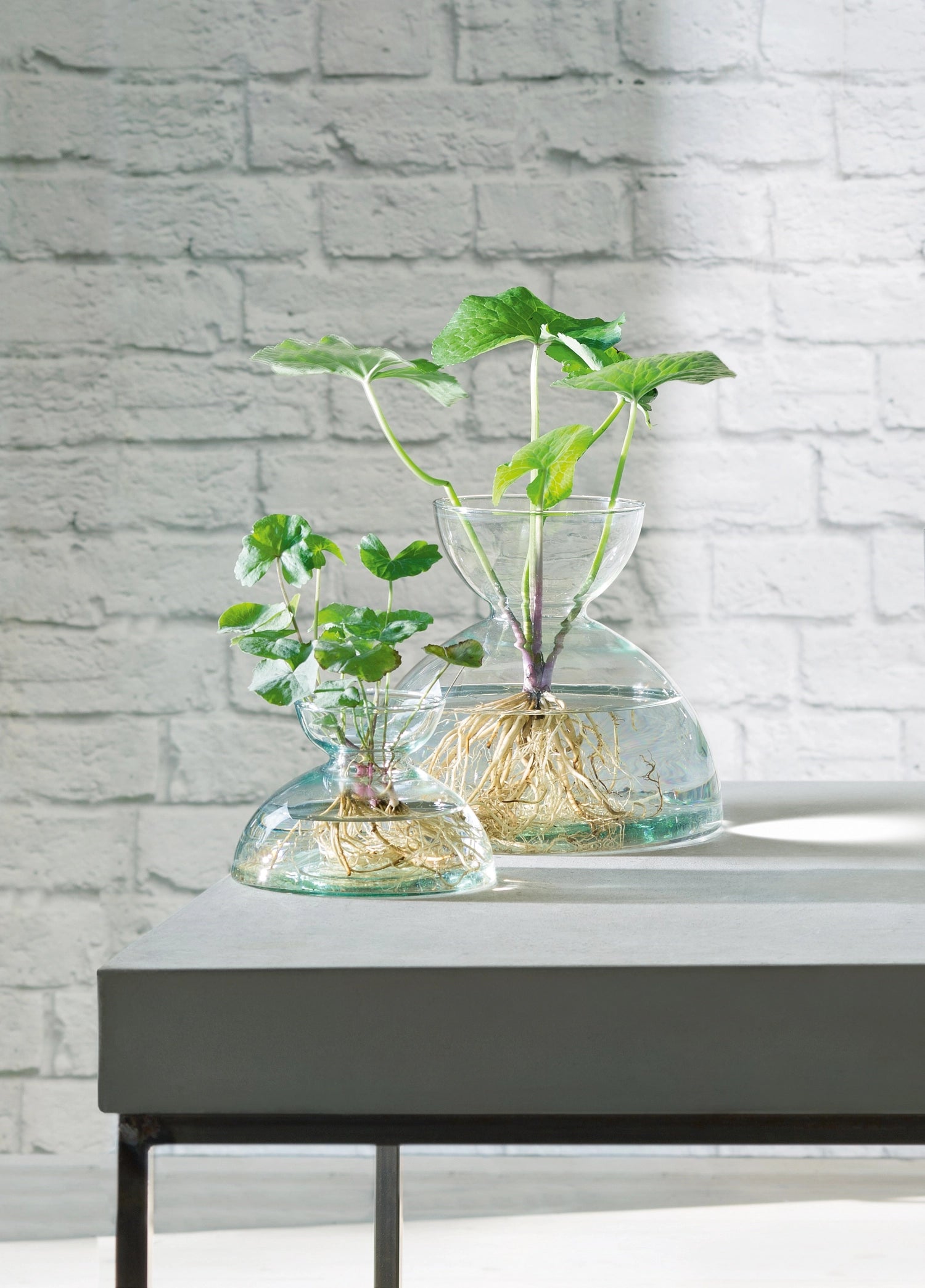 Elegante Canopy Vase (H9.5cm) aus nachhaltigem Material, ideal für individuelle Blumendekorationen und zeitgemäße Einrichtungsideen.