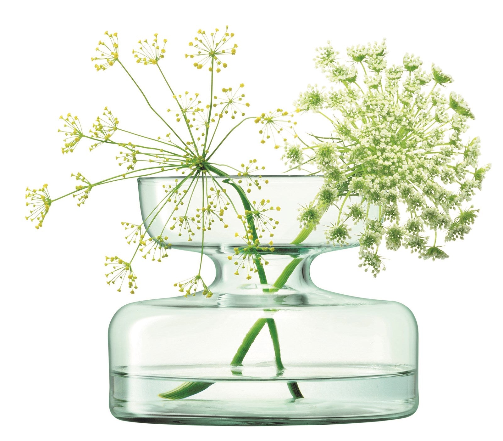 Canopy Vase onion planter H10cm - Recy. optics