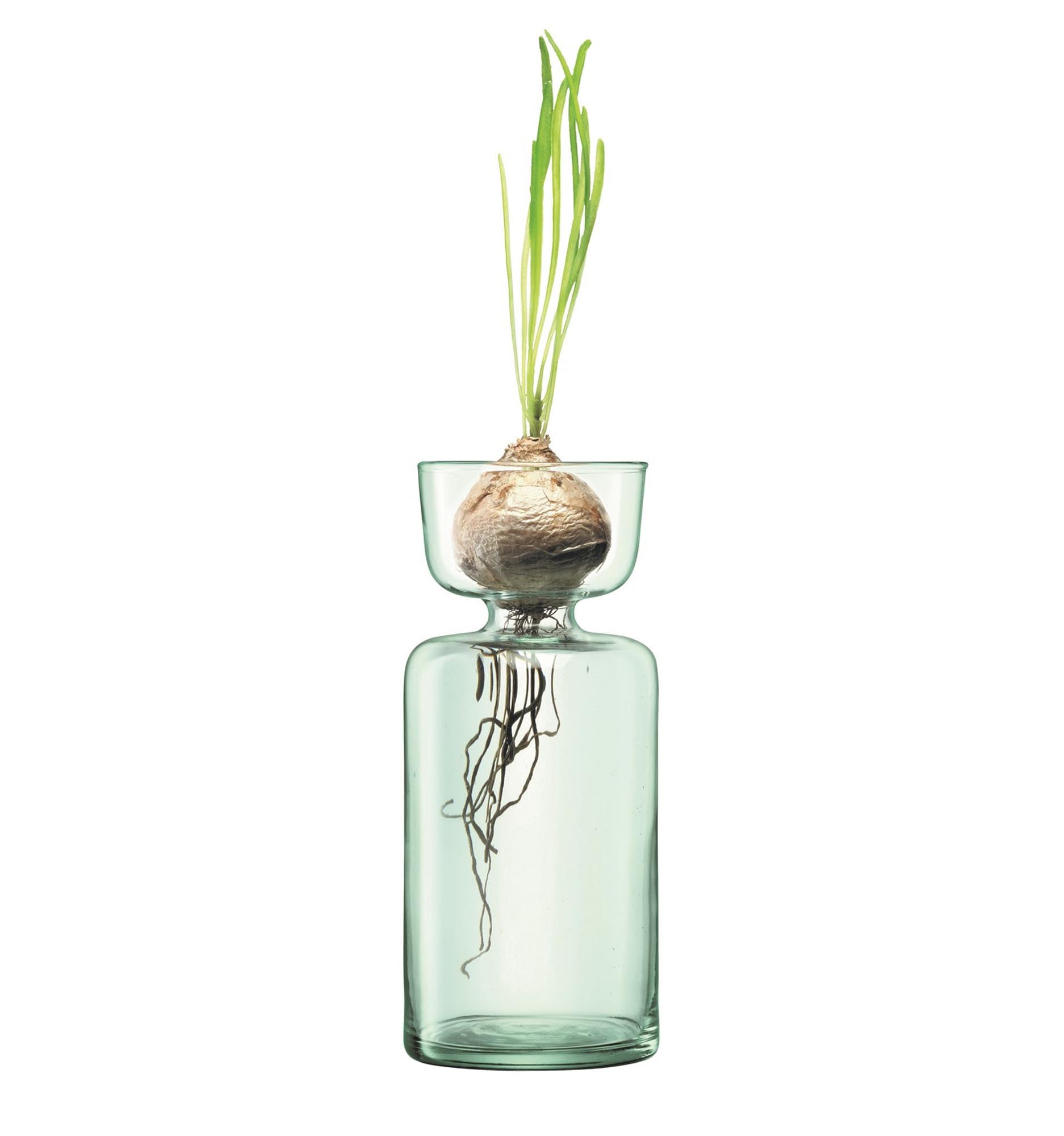 Canopy Vase onion planter H20cm - Recy. optics