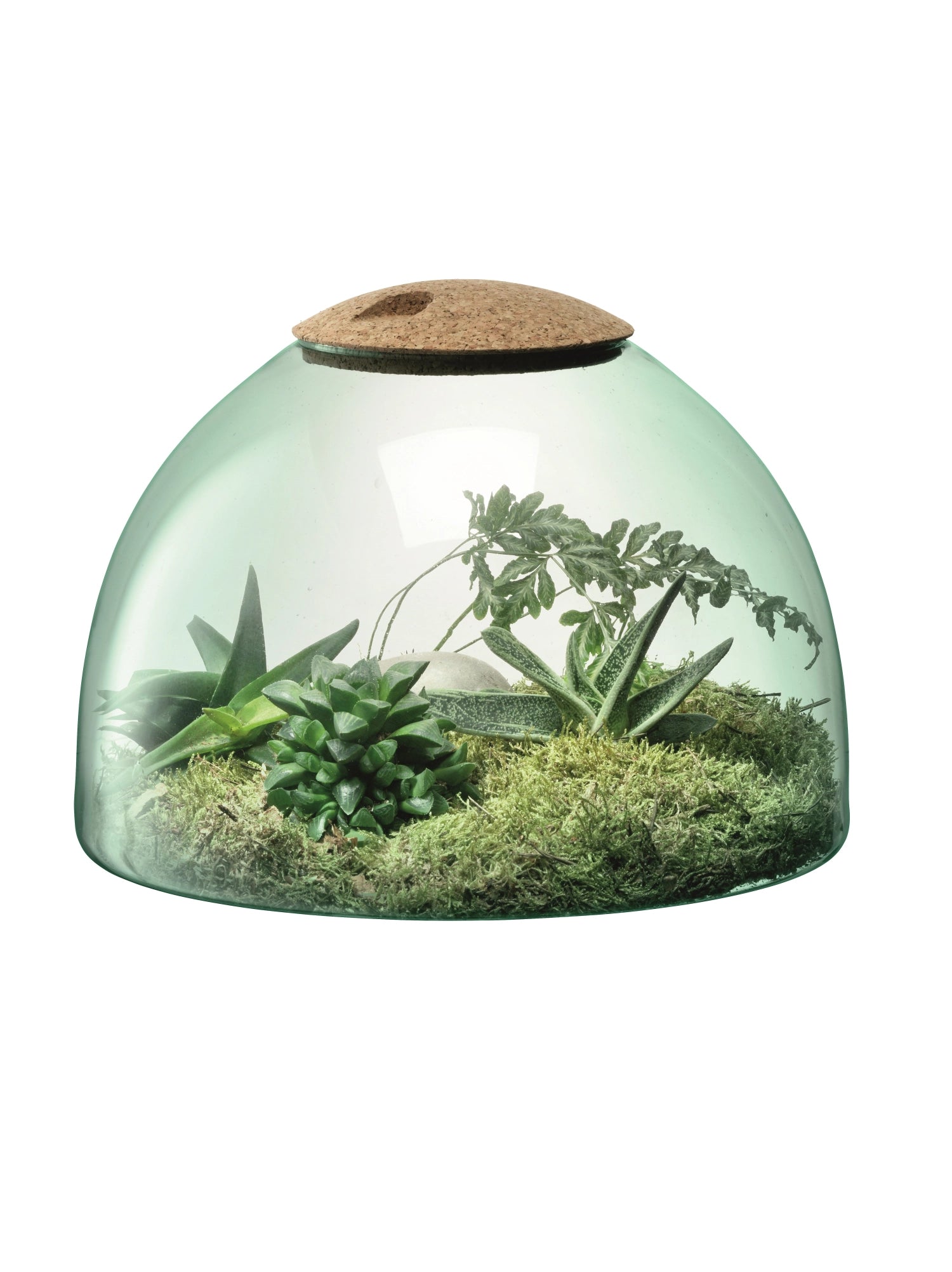 Elegante, geschlossene Gartenvase Canopy von LSA, 22 cm hoch, gefertigt aus umweltfreundlichem Recyclingmaterial, perfekt für kreative Pflanzenarrangements.