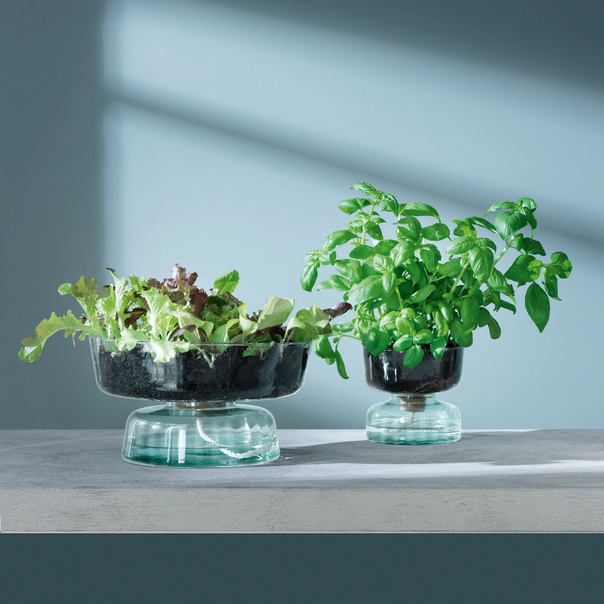 Canopy selbstbewässernder Topf H22cm - recy. Optik in Transparent präsentiert im Onlineshop von KAQTU Design AG. Vase ist von LSA