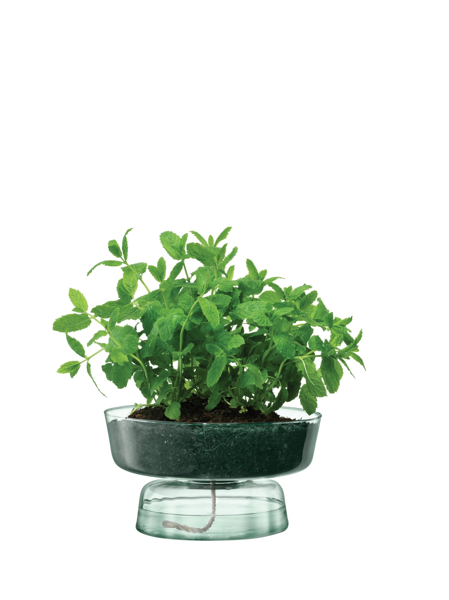 Eleganter, nachhaltiger Topf mit Selbstbewässerung, 14,5 cm hoch, ideal für stilvolle Pflanzenpräsentationen und umweltfreundliche Akzente.