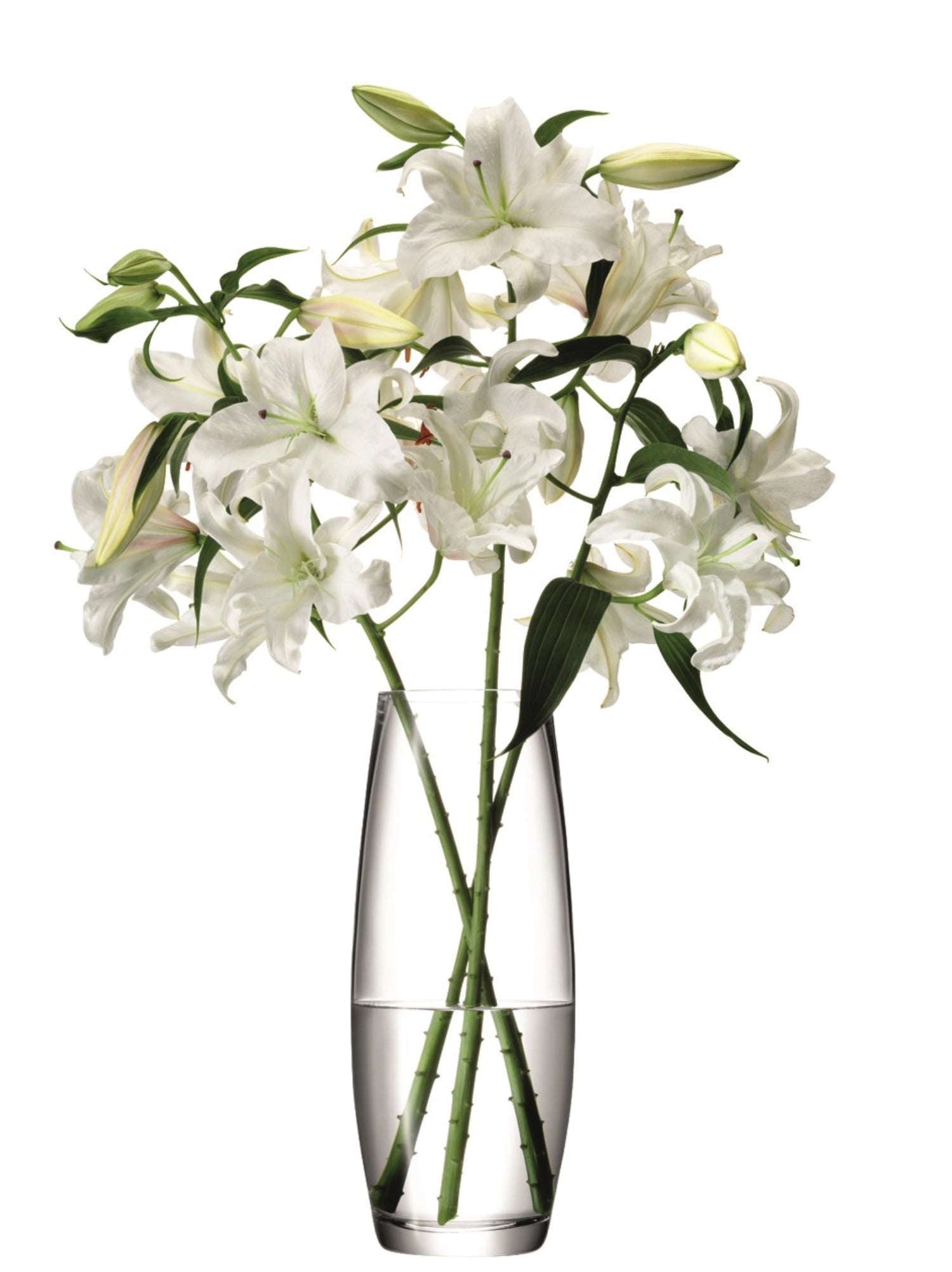 Transparente Blumenvase von LSA, 41 cm hoch, ideal für lange Blumenarrangements, modernes Design für stilvolle Dekoration.