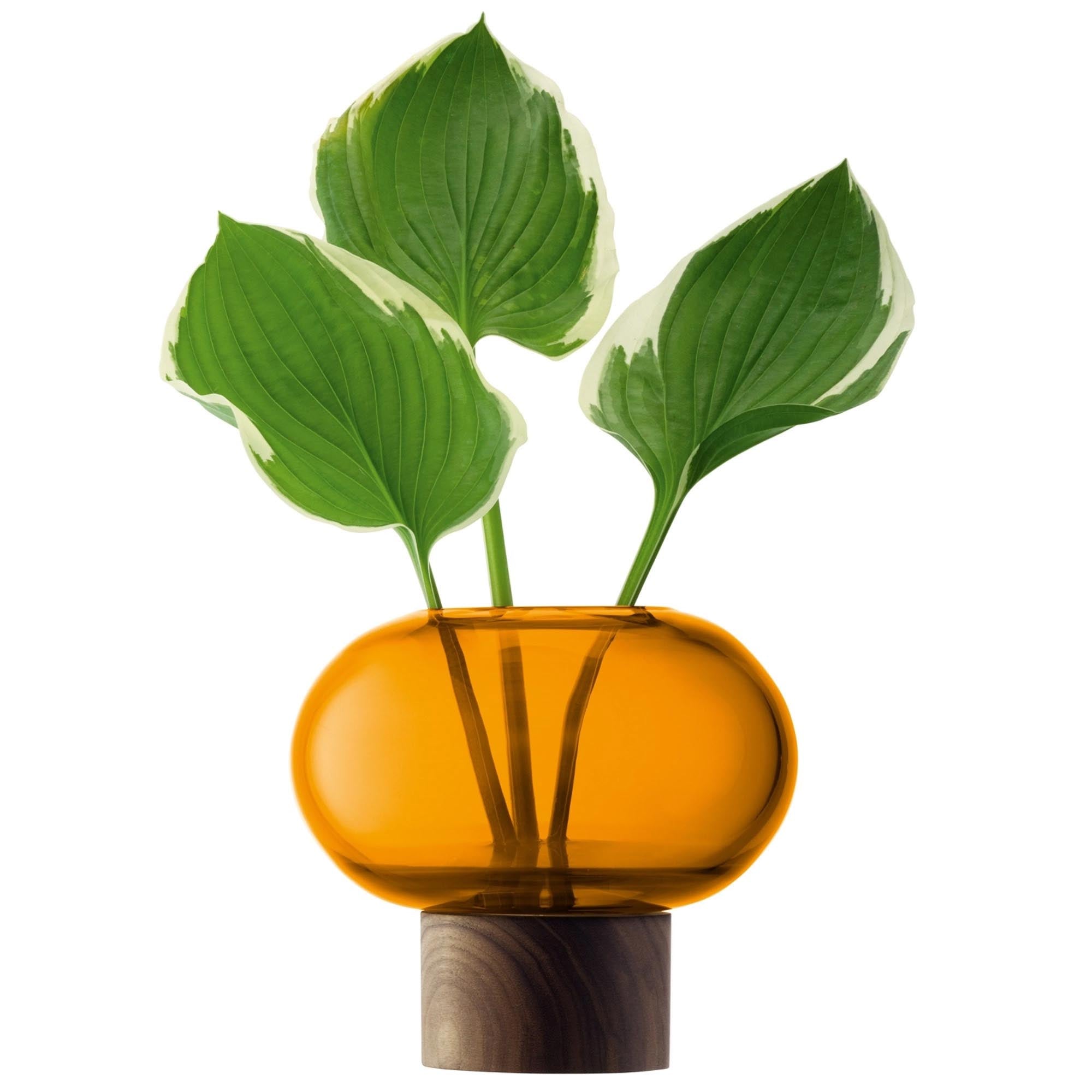 Oblate Vase Ø15cm, H13.5cm - amber walnut