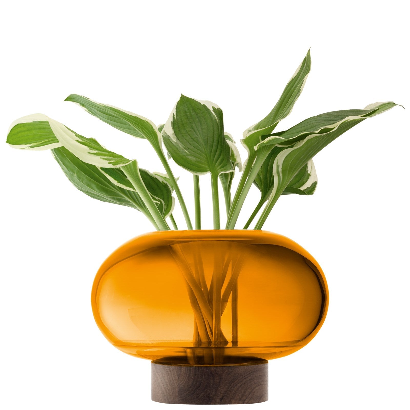 Elegante LSA Vase: Bernstein & Walnuss, Ø28cm, H19.5cm, zeitlos.