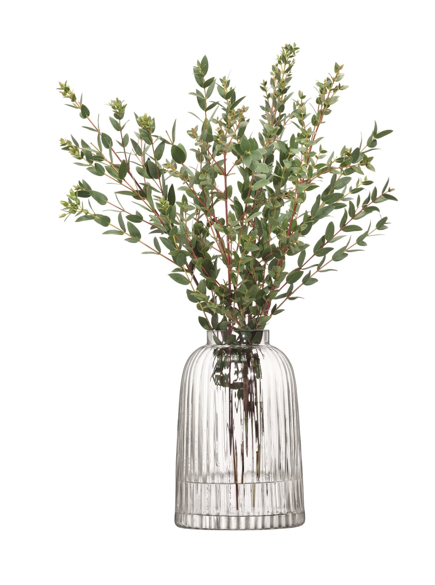 Elegante Pleat Vase von LSA, 20 cm hoch, aus klarem Glas, ideal für stilvolle Blumenarrangements und moderne Wohnakzente.