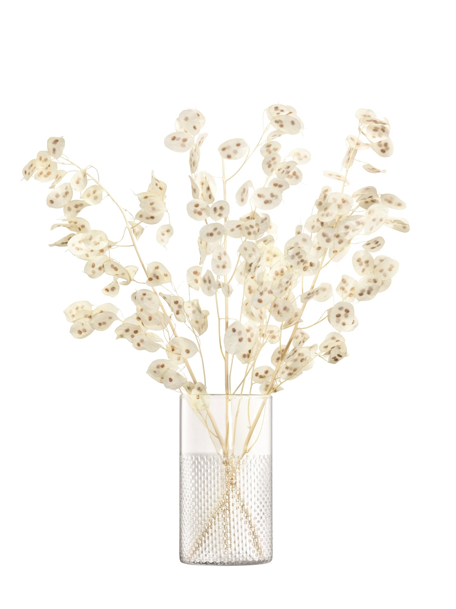 Elegante, handgefertigte Vase aus klarem Glas mit geflochtenem Design, ideal als Windlicht oder Dekoration.