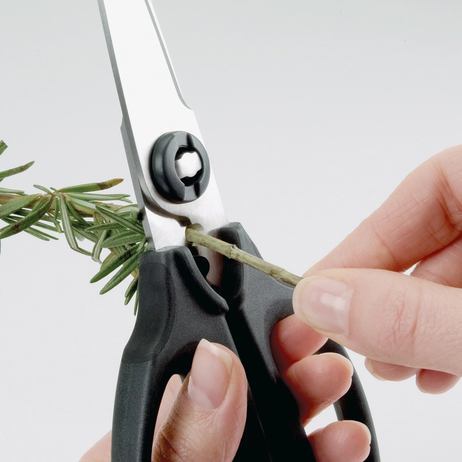 Schwarze Küchen-Kräuterschere von OXO, ideal zum schnellen und präzisen Schneiden von frischen Kräutern, ausgestattet mit ergonomischen Griffen für optimalen Halt.