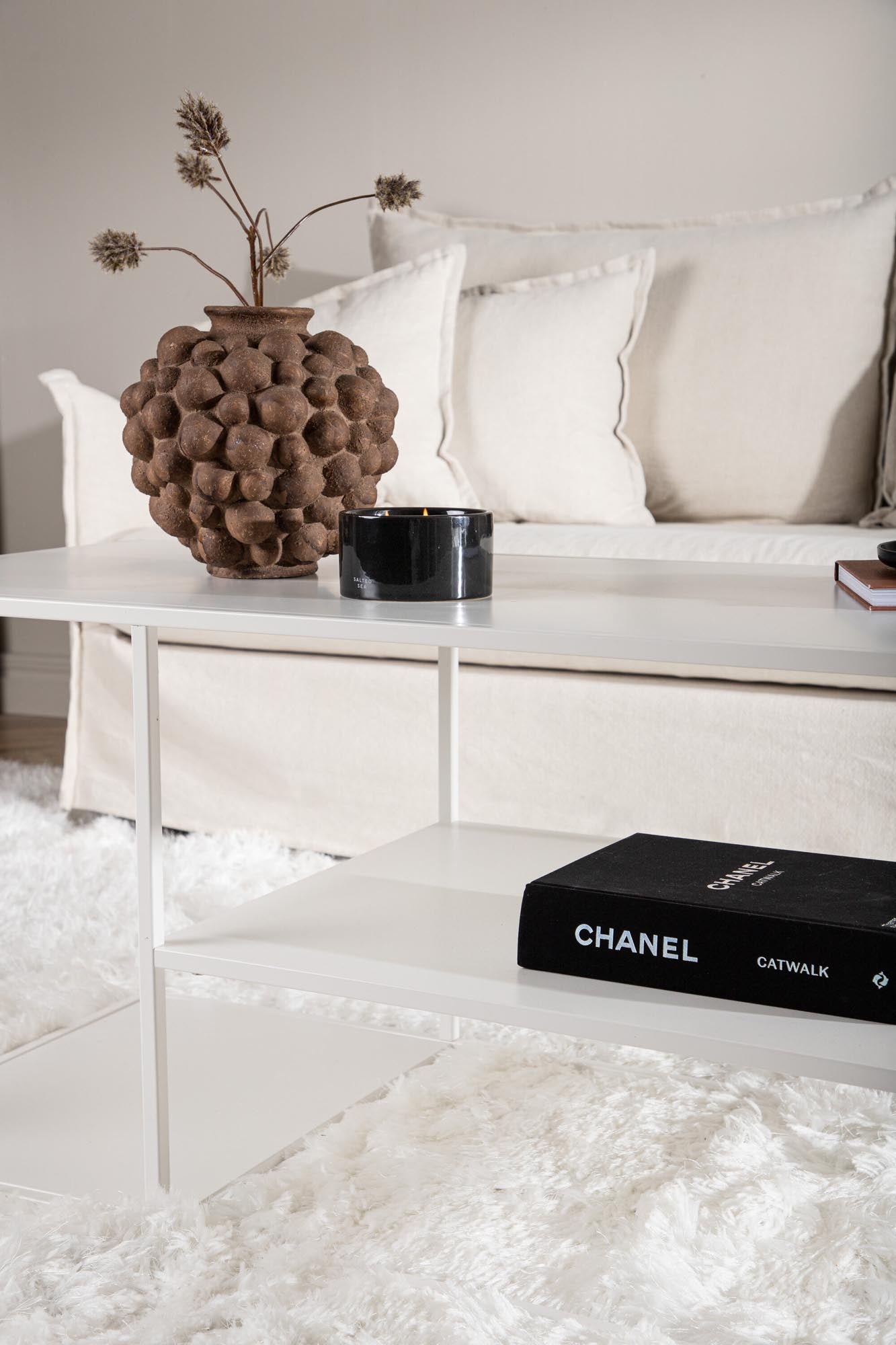 Eleganter Staal Coffee Tisch: Minimalistisches Design für Ihr Zuhause.
