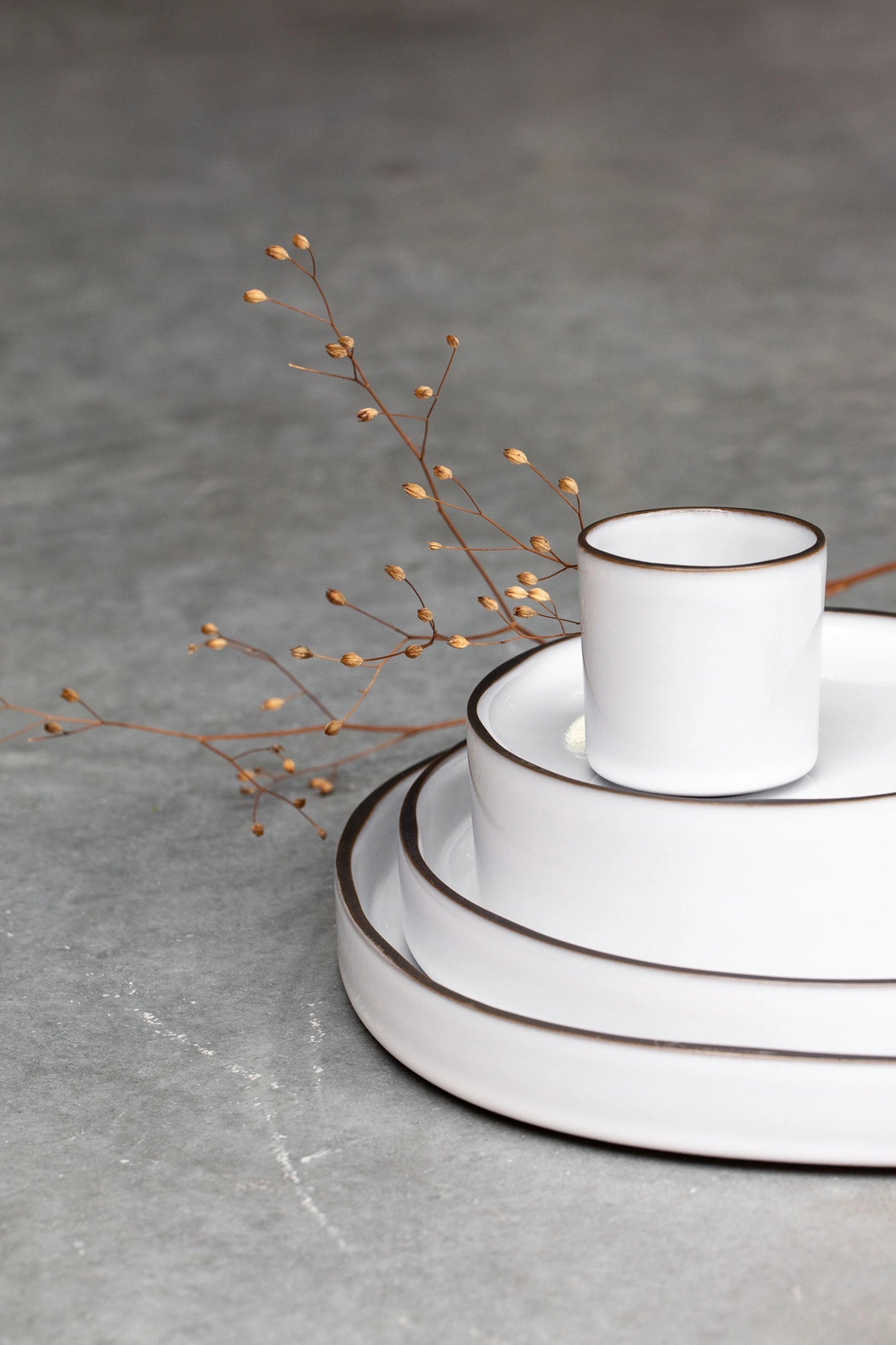 Elegante weiße Schale von Revol für kreative Gourmet-Präsentationen.