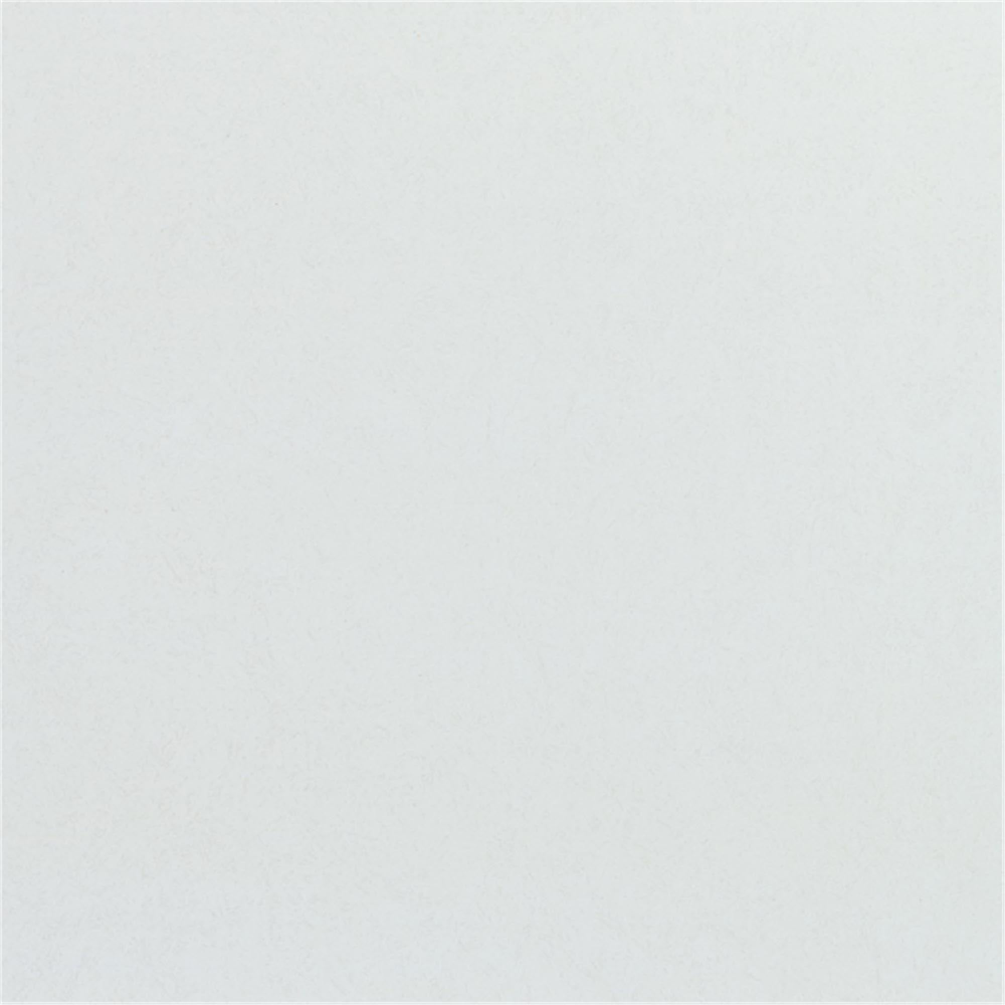 Stilvolles Euronorm Tablett, lichtgrau, 53x37cm von Roltex.