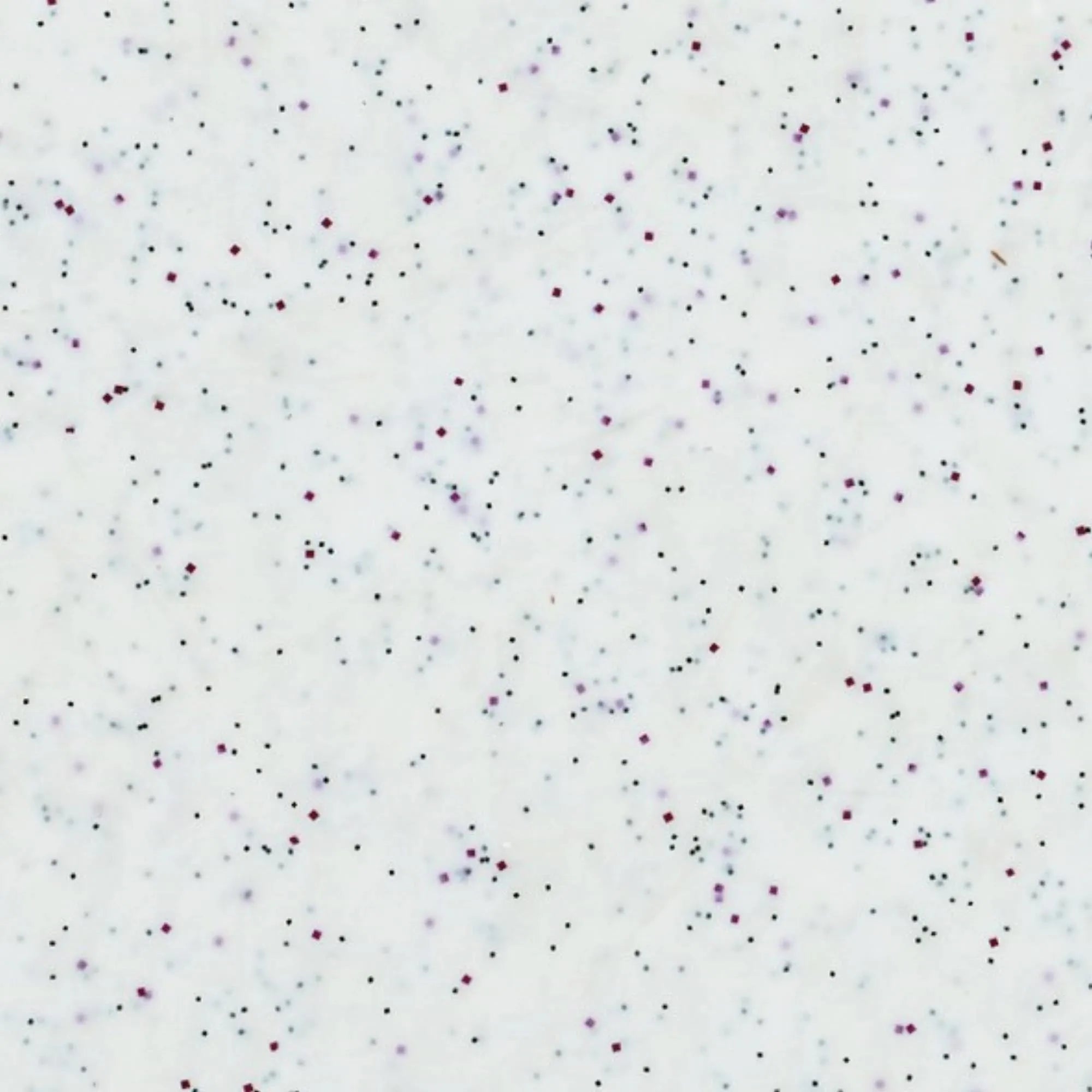 Elegantes, robustes Tablett aus Glasfaser-Polyester, ideal für Gastronomie & Zuhause. 46x36cm, hitzebeständig, pflegeleicht.
