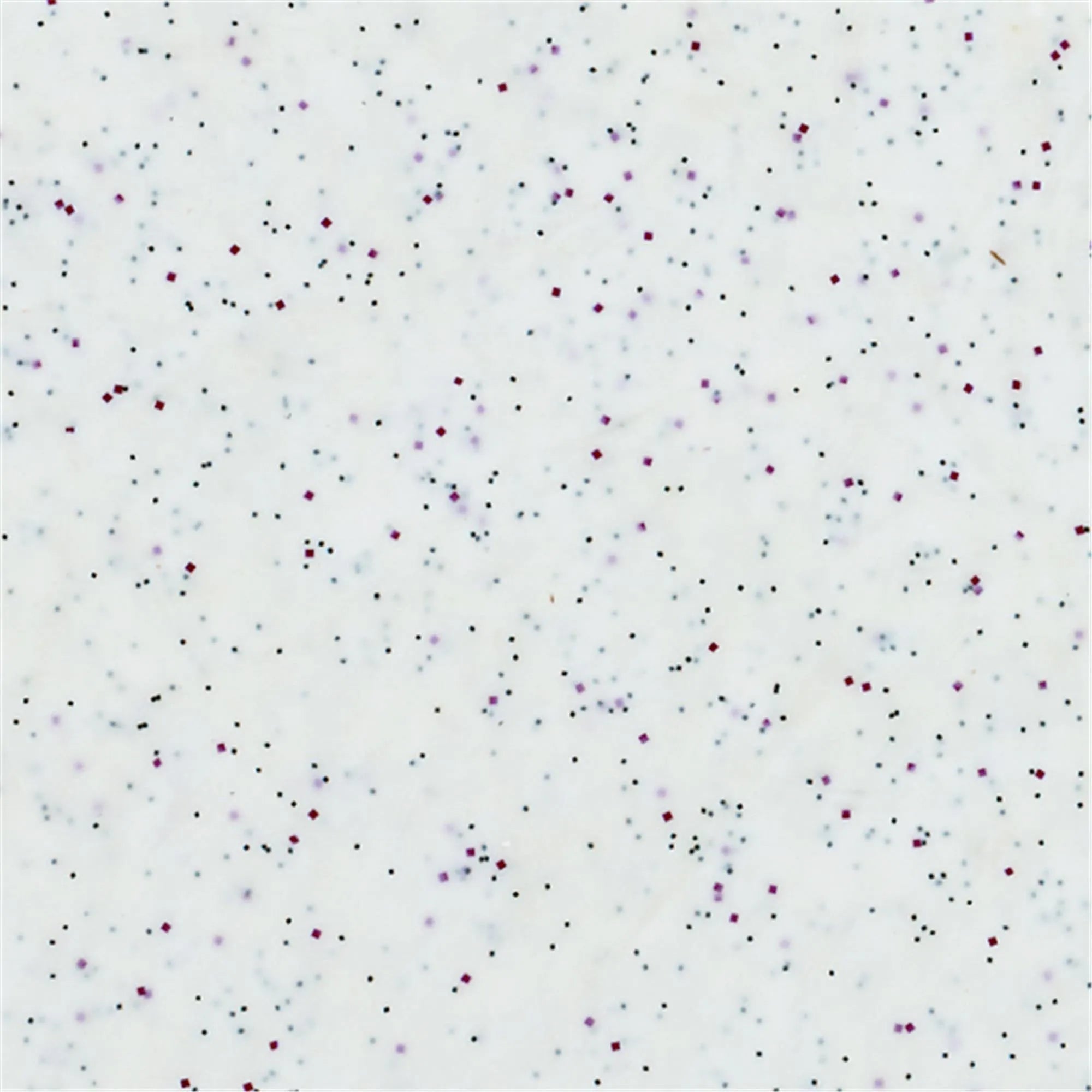 Elegantes Tablett Rocca Weiß 46x36cm von Roltex für vielseitigen Einsatz.