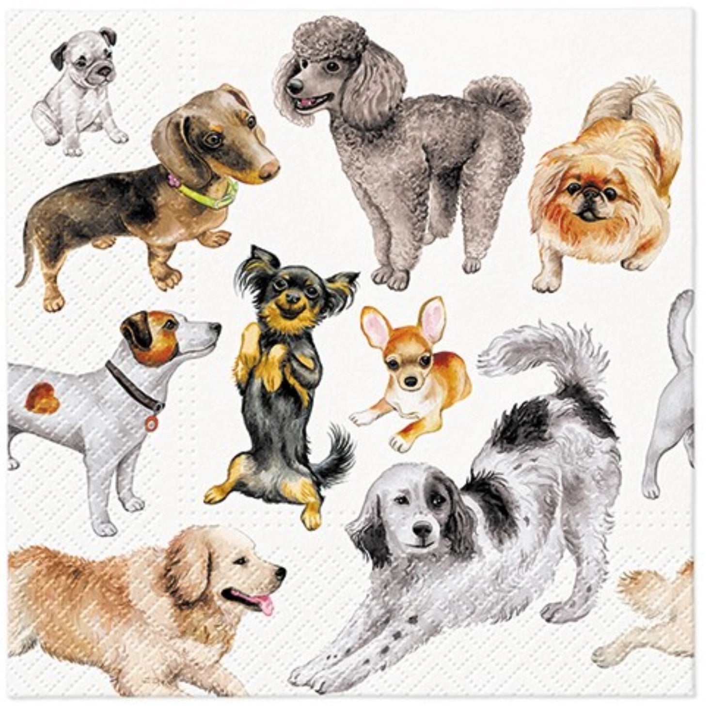Servietten Lunch 20x Dogs Happiness, 33x33cm in Mehrfarbig präsentiert im Onlineshop von KAQTU Design AG. Servietten ist von PAW
