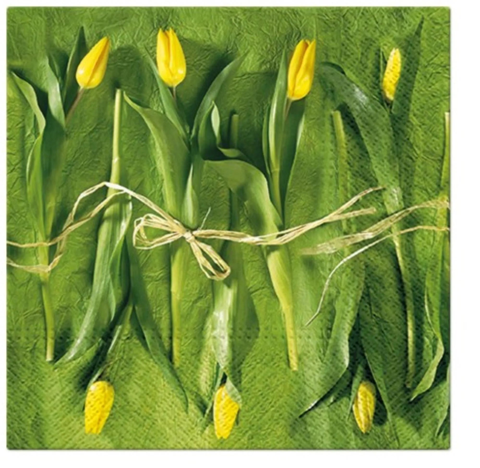 Fröhliche Servietten mit Tulpenmotiv, 33x33 cm, ideal für Frühlingstische. Hochwertig, saugfähig, umweltfreundlich.