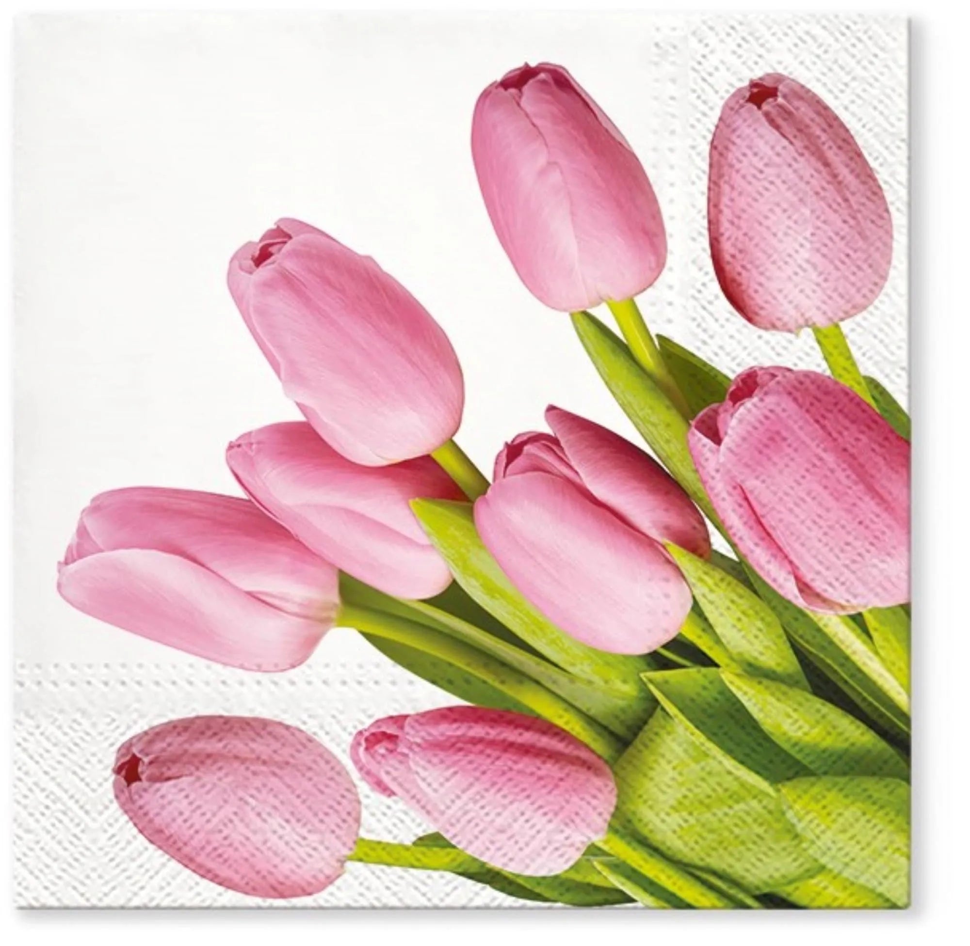 Elegante rosa Servietten mit Tulpenmuster, 33x33cm, von PAW Decor Collection. Perfekt für stilvolle Tischdekorationen.