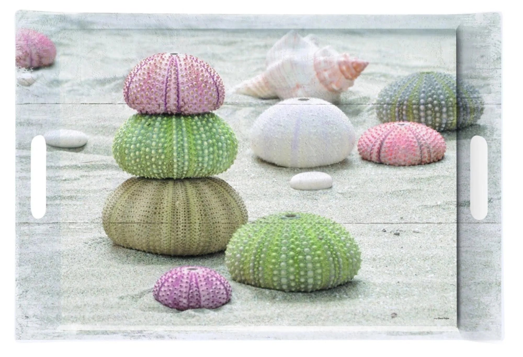 Sea Urchins Tablett m. Griffen 49x34cm - KAQTU Design